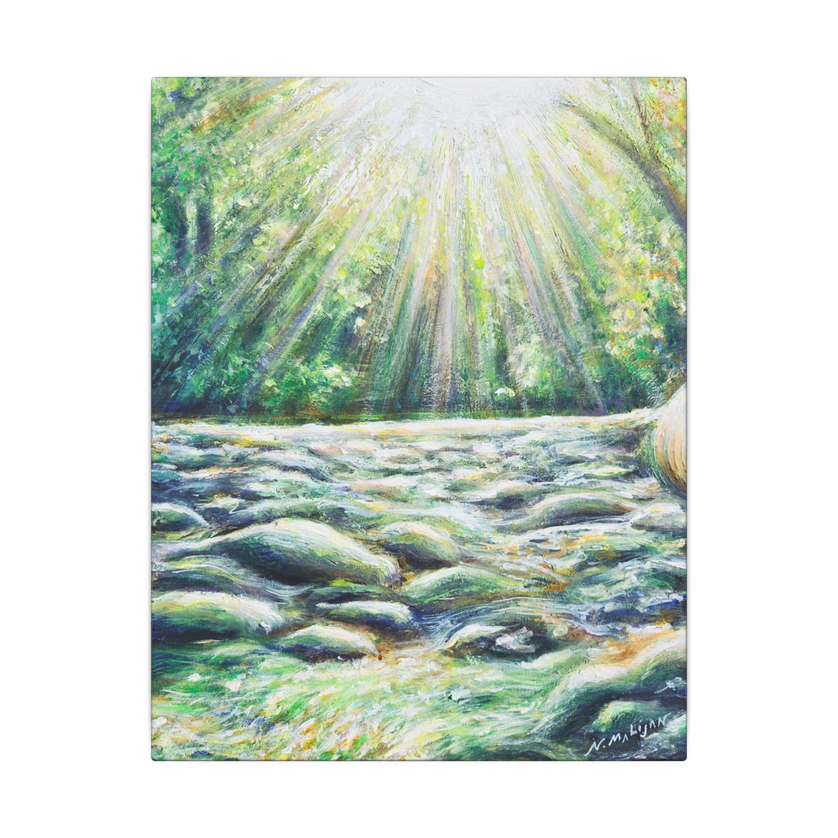 Sunlit River Canvas Print | Go Outside | Nature Wall Art, Bright Forest Stream