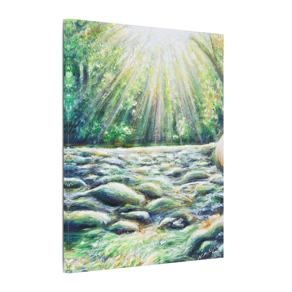 Sunlit River Canvas Print | Go Outside | Nature Wall Art, Bright Forest Stream