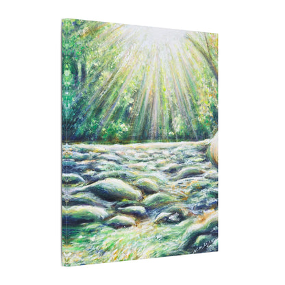 Sunlit River Canvas Print | Go Outside | Nature Wall Art, Bright Forest Stream